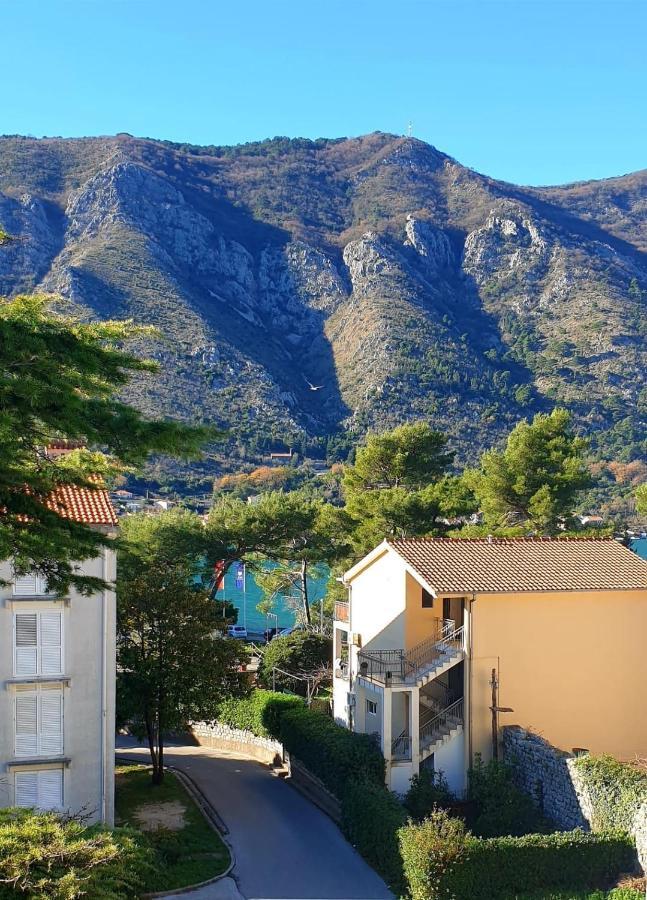The Nest - Urban Family Place Kotor Exterior foto